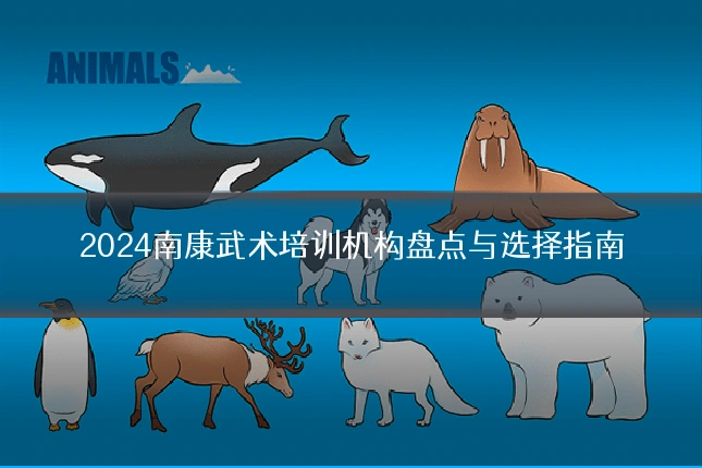 2024南康武术培训机构盘点与选择指南