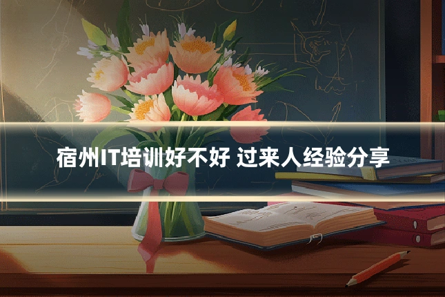 宿州IT培训好不好 过来人经验分享