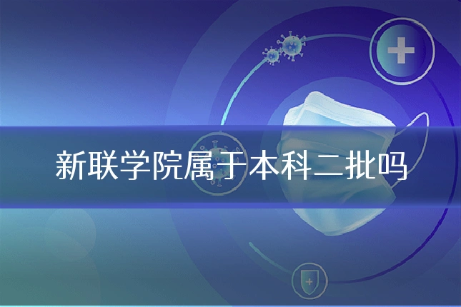 新联学院属于本科二批吗