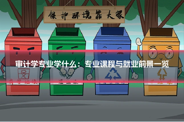 审计学专业学什么：专业课程与就业前景一览