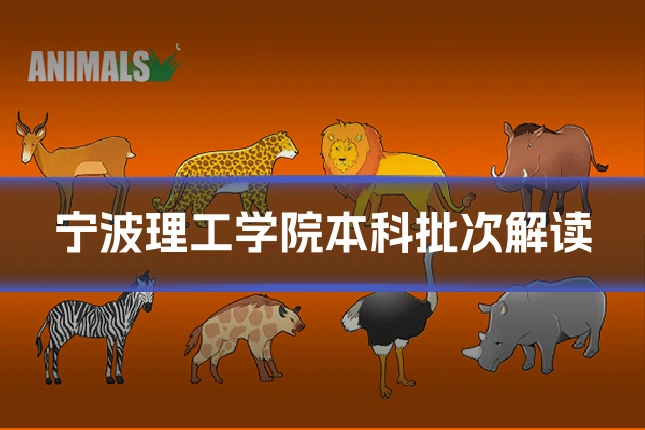 宁波理工学院本科批次解读