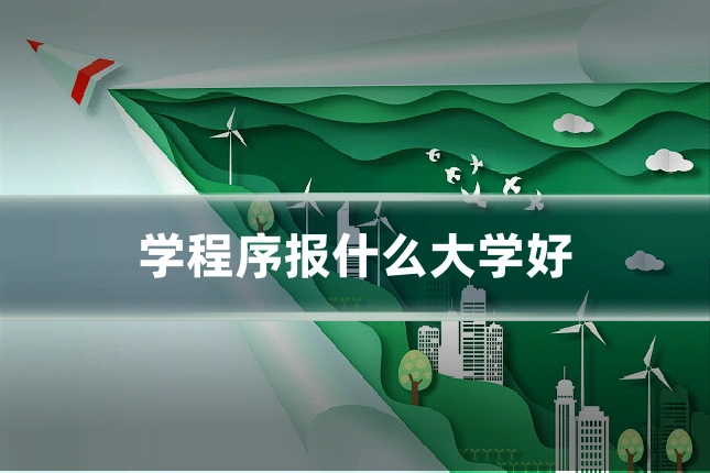 学程序报什么大学好