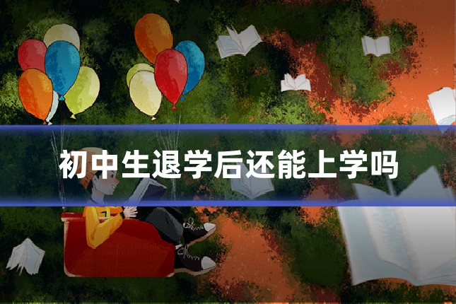 初中生退学后还能上学吗
