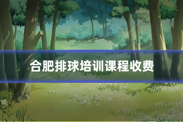 合肥排球培训课程收费