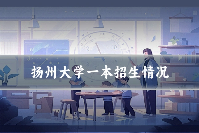 扬州大学一本招生情况
