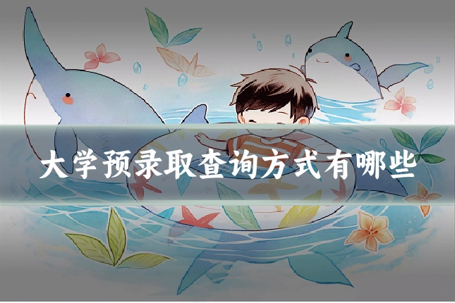 大学预录取查询方式有哪些