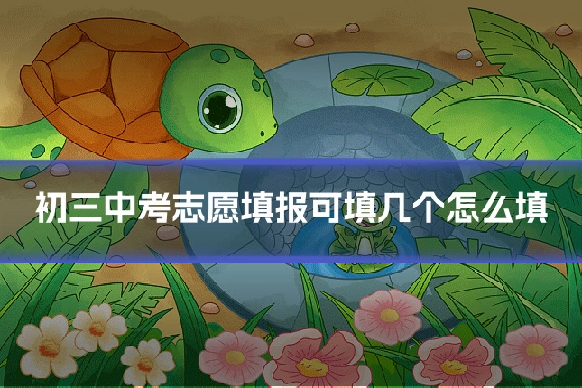 初三中考志愿填报可填几个怎么填