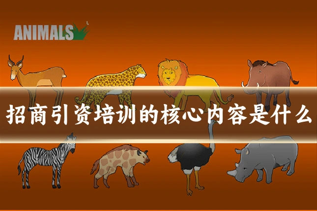 招商引资培训的核心内容是什么