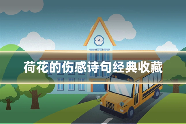 荷花的伤感诗句经典收藏