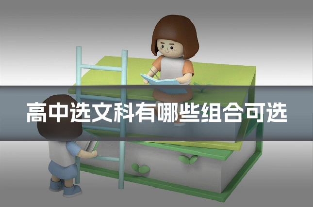 高中选文科有哪些组合可选