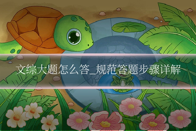 文综大题怎么答_规范答题步骤详解