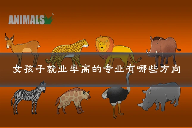 女孩子就业率高的专业有哪些方向