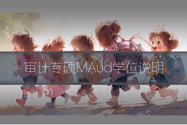 审计专硕MAud学位说明