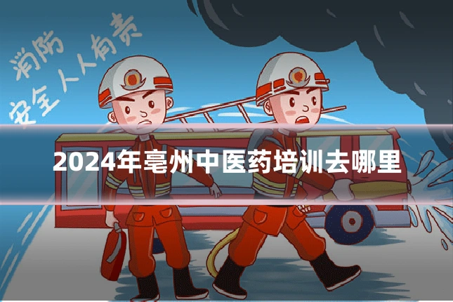 2024年亳州中医药培训去哪里