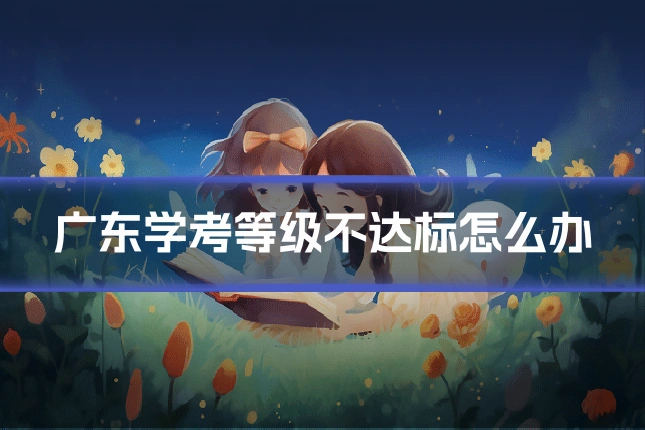 广东学考等级不达标怎么办