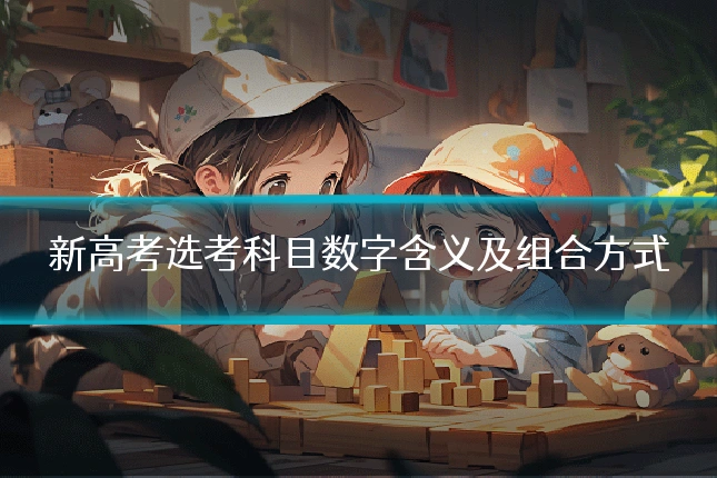 新高考选考科目数字含义及组合方式