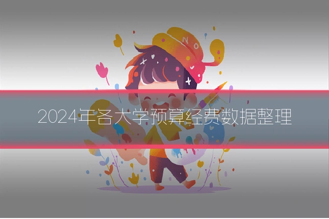 2024年各大学预算经费数据整理