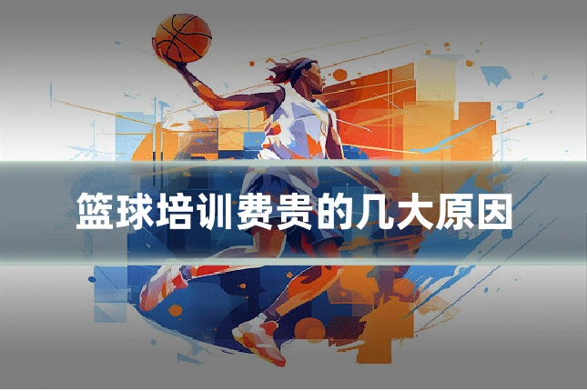 篮球培训费贵的几大原因