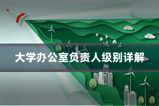 大学办公室负责人级别详解