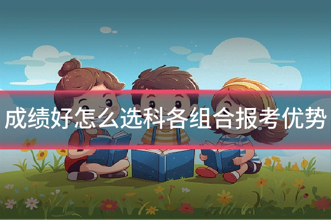 成绩好怎么选科各组合报考优势