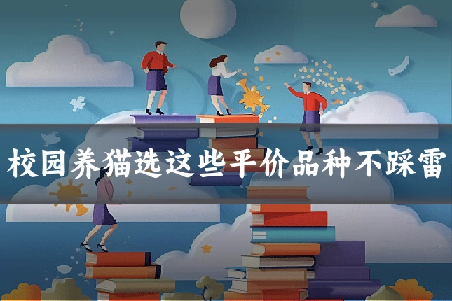 校园养猫选这些平价品种不踩雷