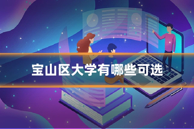 宝山区大学有哪些可选
