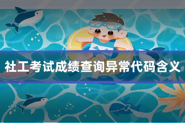 社工考试成绩查询异常代码含义