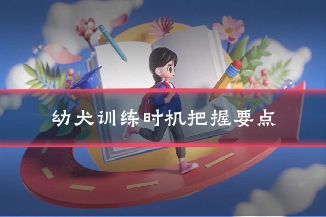 幼犬训练时机把握要点