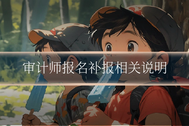 审计师报名补报相关说明