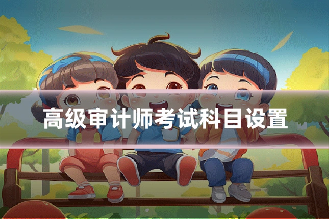 高级审计师考试科目设置