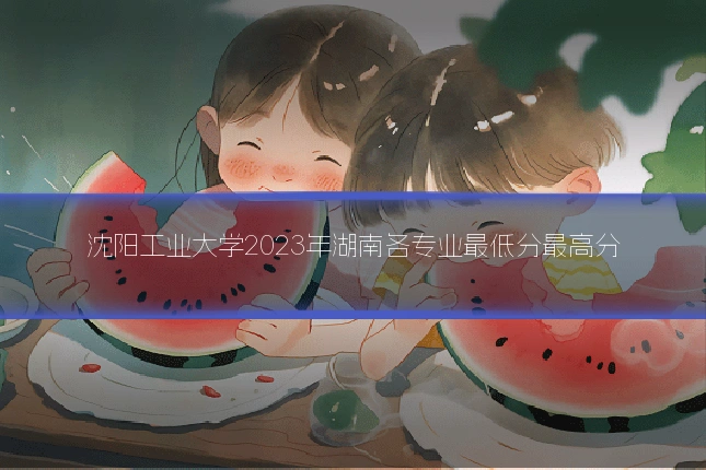 沈阳工业大学2023年湖南各专业最低分最高分