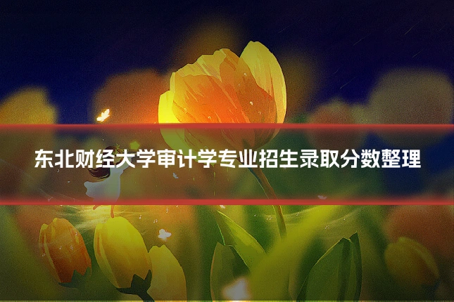 东北财经大学审计学专业招生录取分数整理