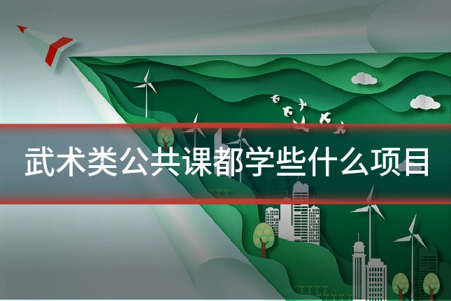 武术类公共课都学些什么项目