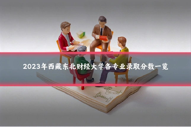 2023年西藏东北财经大学各专业录取分数一览