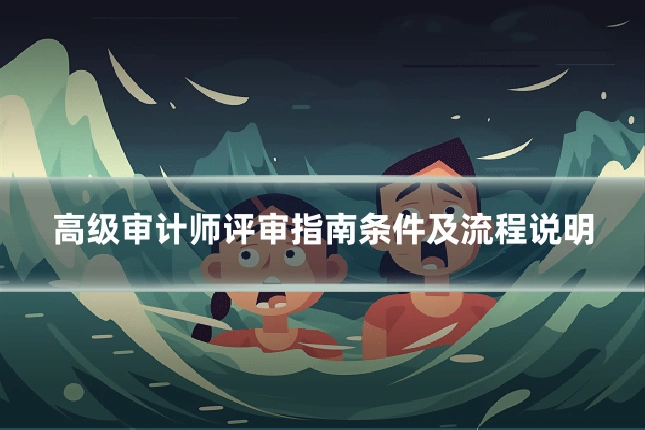高级审计师评审指南条件及流程说明