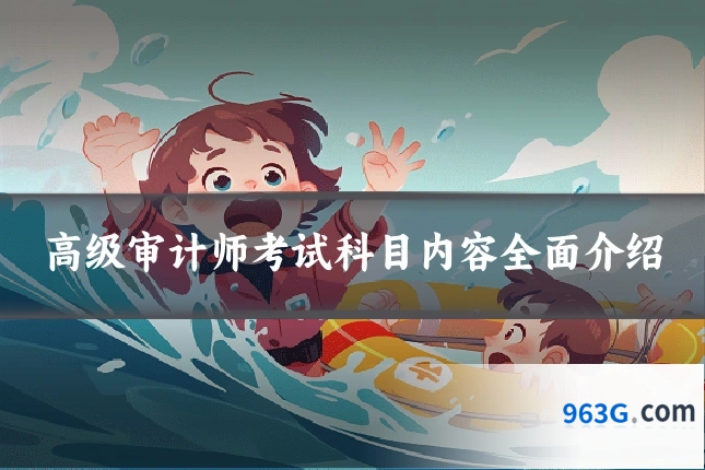 高级审计师考试科目内容全面介绍