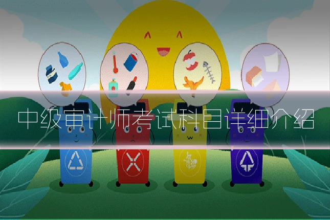 中级审计师考试科目详细介绍