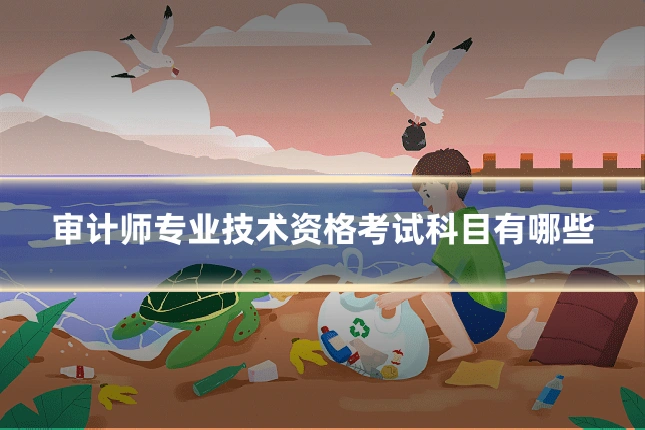 审计师专业技术资格考试科目有哪些