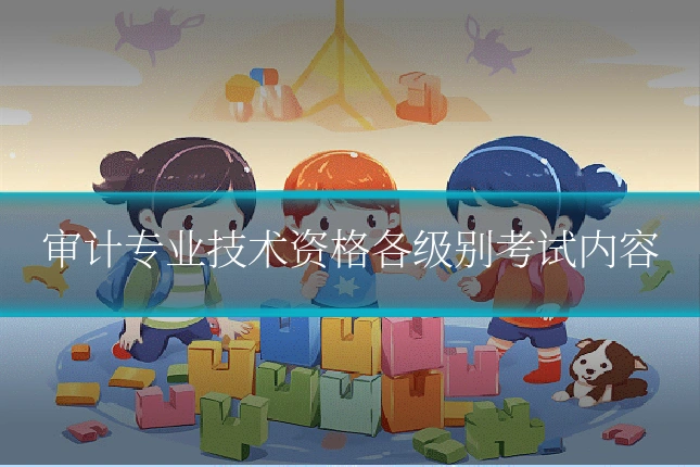 审计专业技术资格各级别考试内容