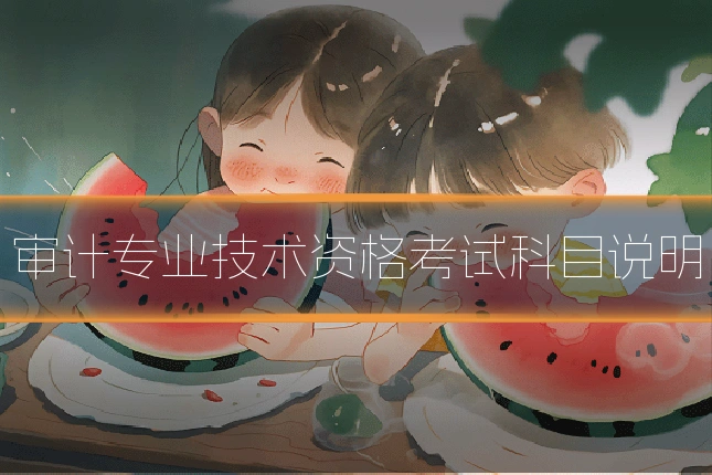 审计专业技术资格考试科目说明