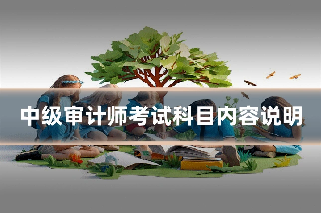 中级审计师考试科目内容说明