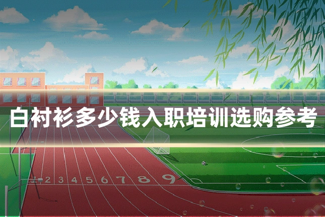 白衬衫多少钱入职培训选购参考