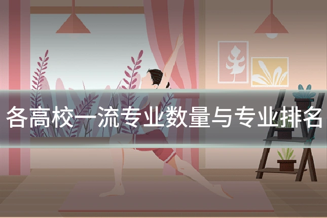 各高校一流专业数量与专业排名