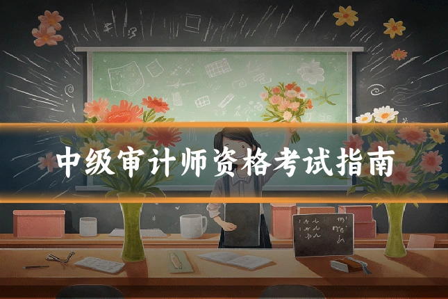 中级审计师资格考试指南