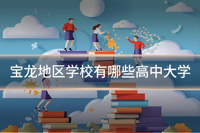宝龙地区学校有哪些高中大学