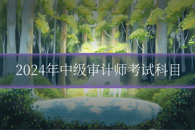 2024年中级审计师考试科目