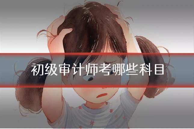 初级审计师考哪些科目