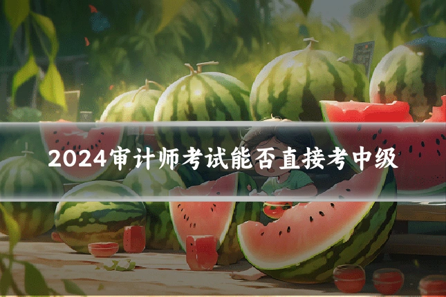 2024审计师考试能否直接考中级