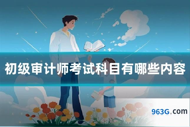 初级审计师考试科目有哪些内容
