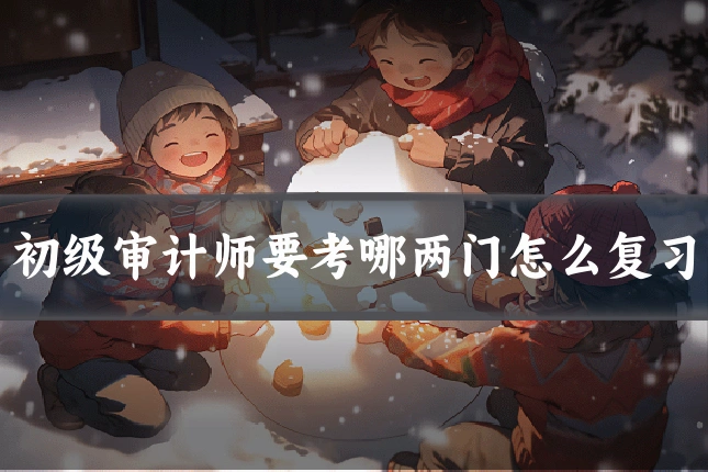 初级审计师要考哪两门怎么复习